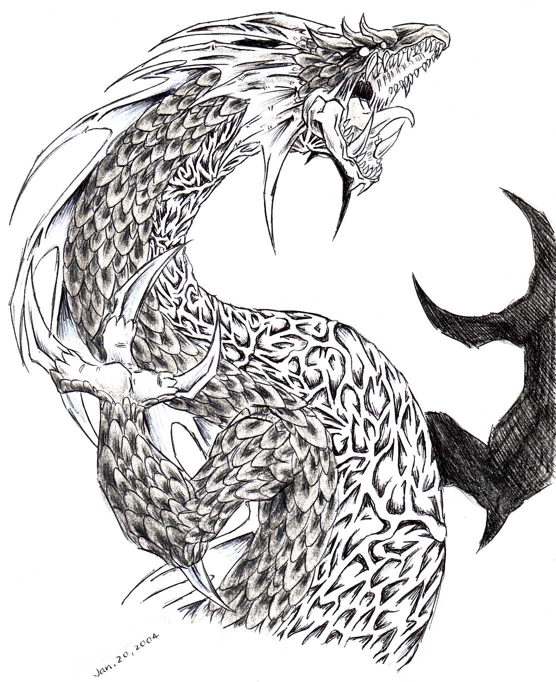 Evil Dragon Drawing Sketch