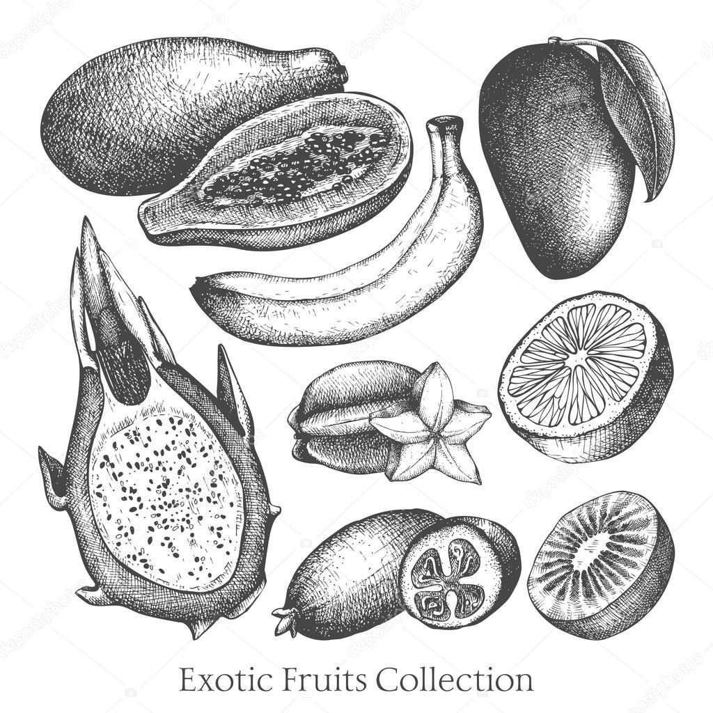 Exotic Drawing Image