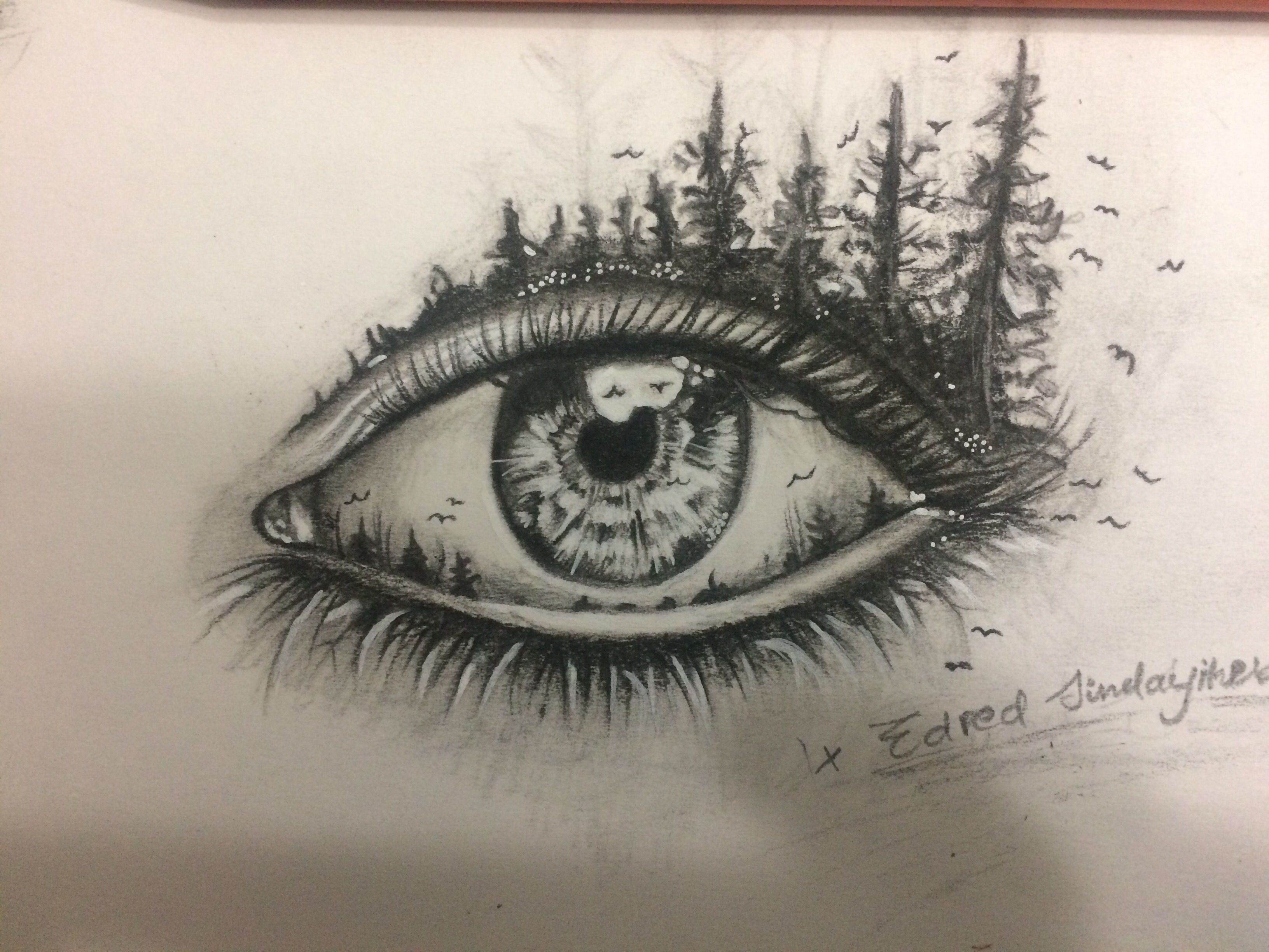 Eye Drawing Pics