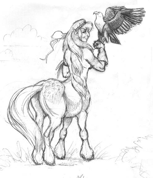 Female Centaur Drawing Sketch