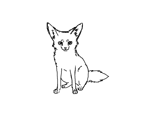 Fennec Fox Drawing Amazing