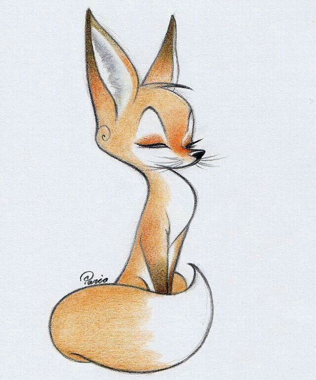 Fennec Fox Drawing Best