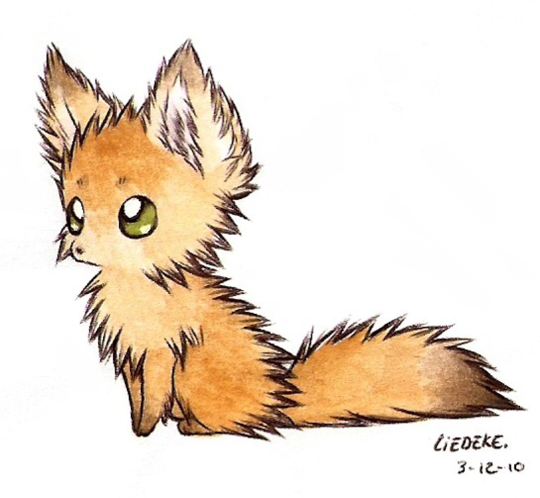 Fennec Fox Drawing Image