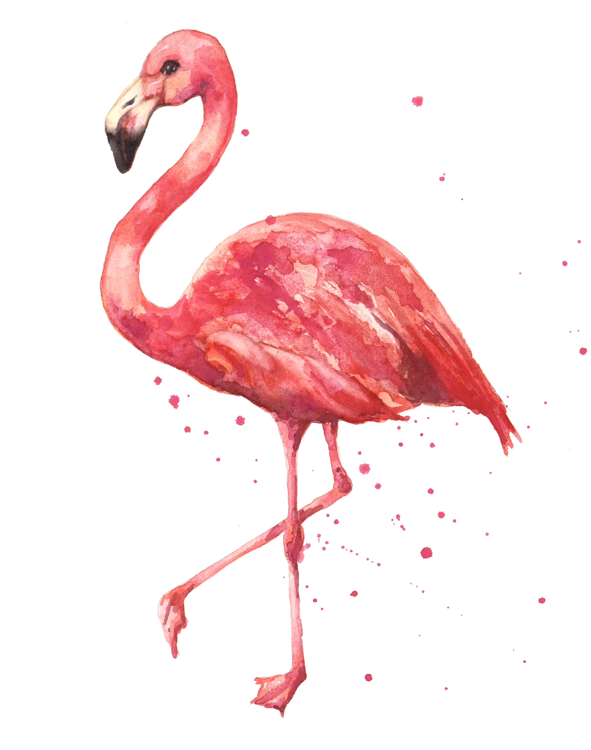 Flamingo Drawing Amazing