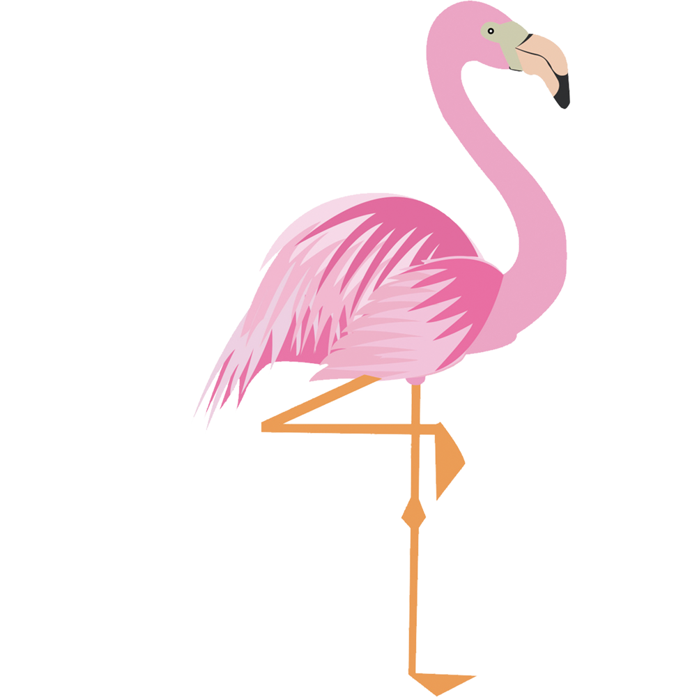 Flamingo Drawing Art