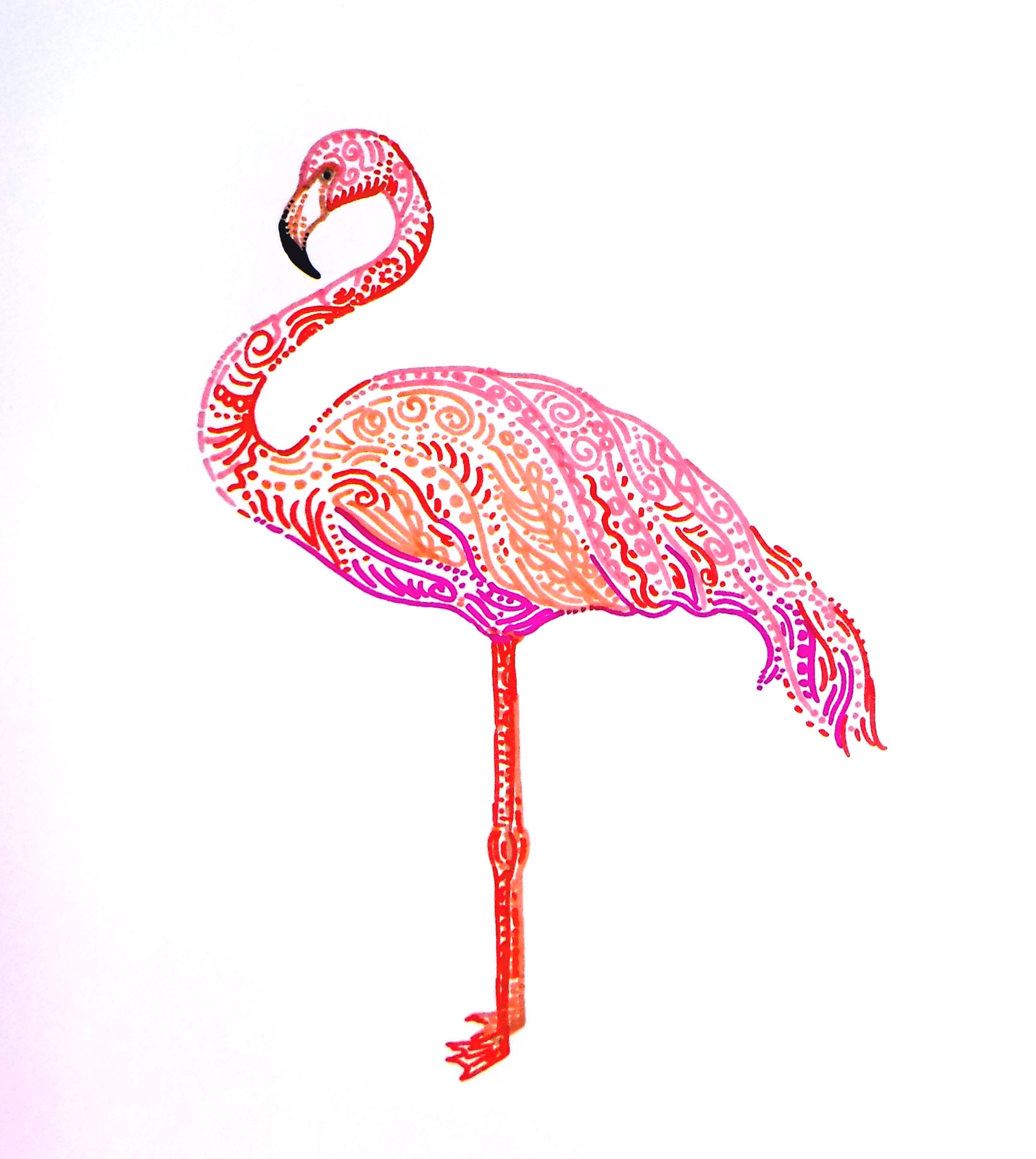 Flamingo Drawing Best