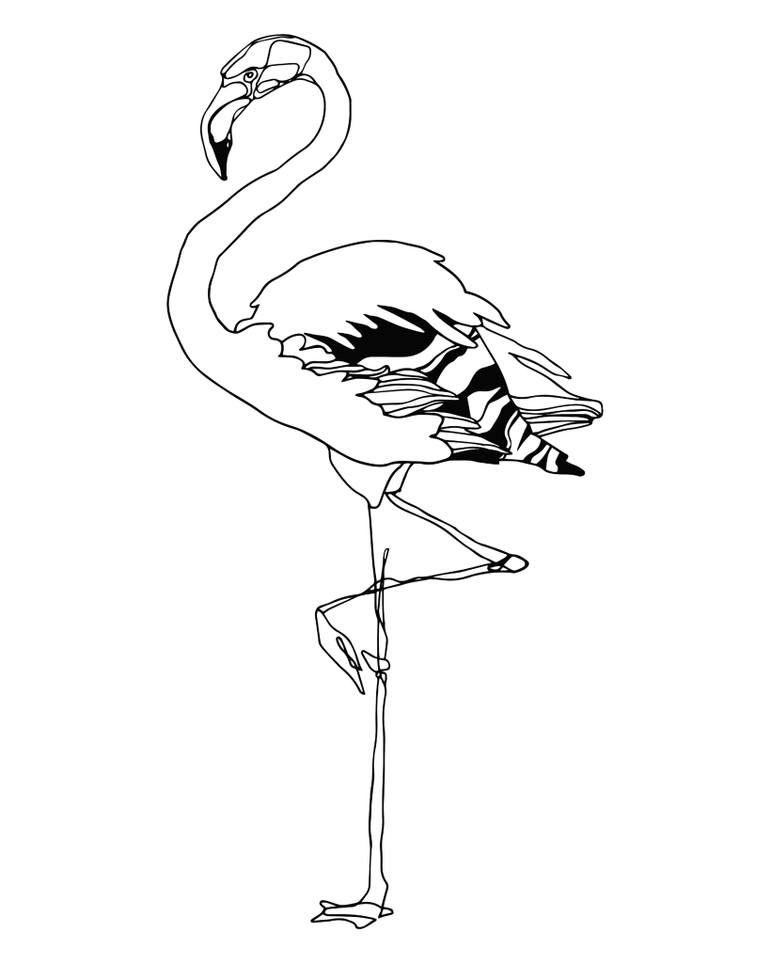 Flamingo Drawing, Pencil, Sketch, Colorful, Realistic Art Images ...