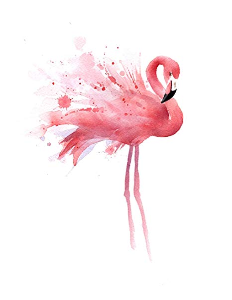 Flamingo Drawing Picture