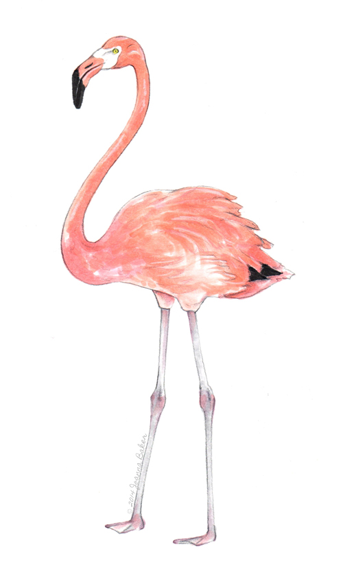 How to draw flamingo with scenery - YouTube