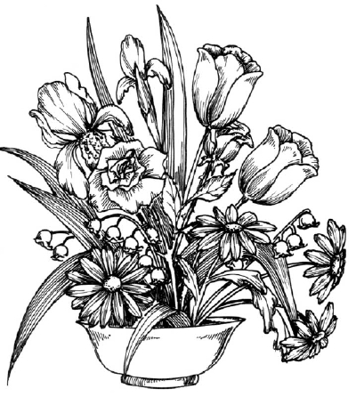 Floral Art Drawing