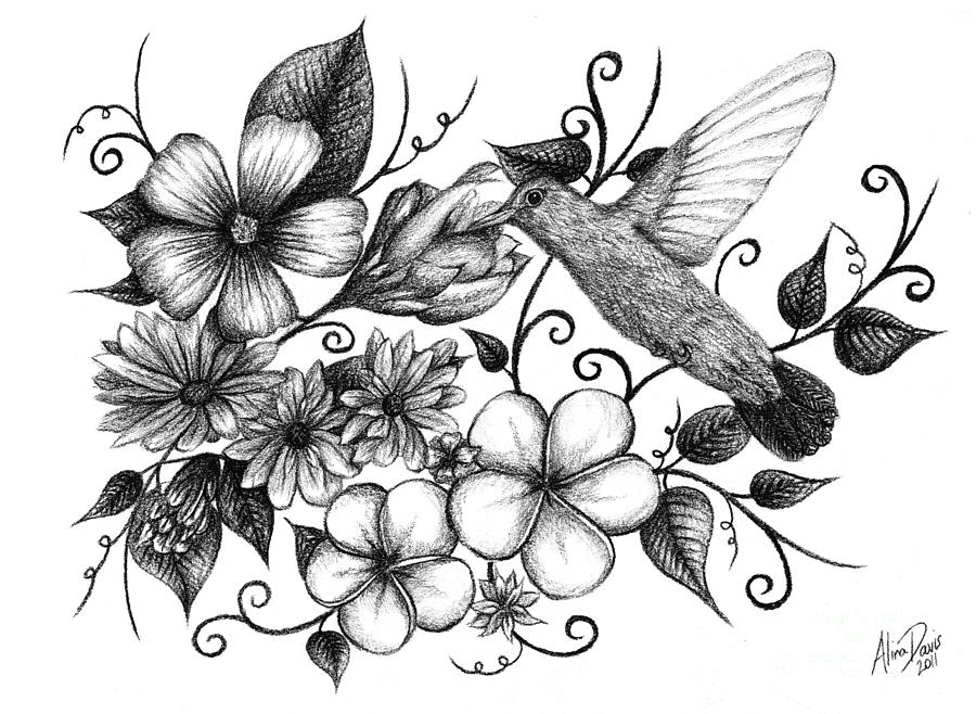 Floral Drawing Images