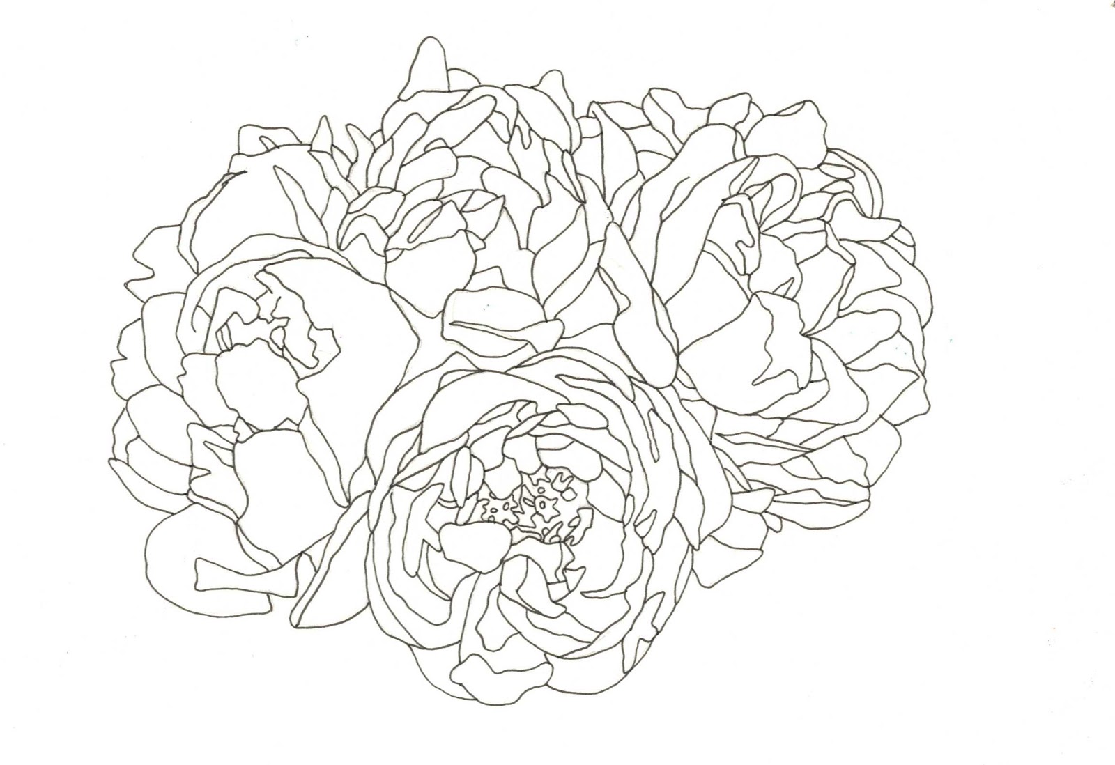Floral Drawing Pictures