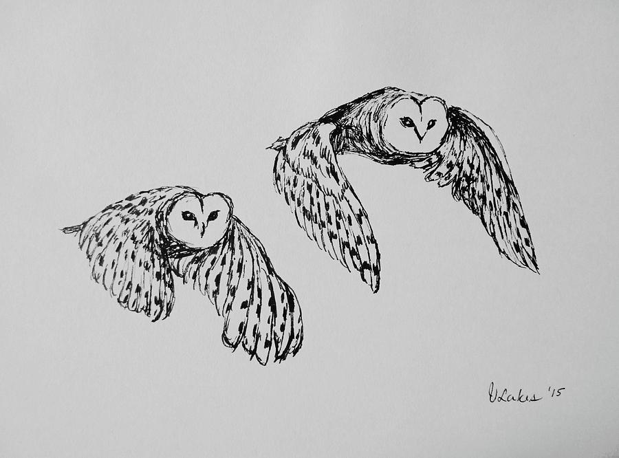 Flying Owl Drawing Creative Art