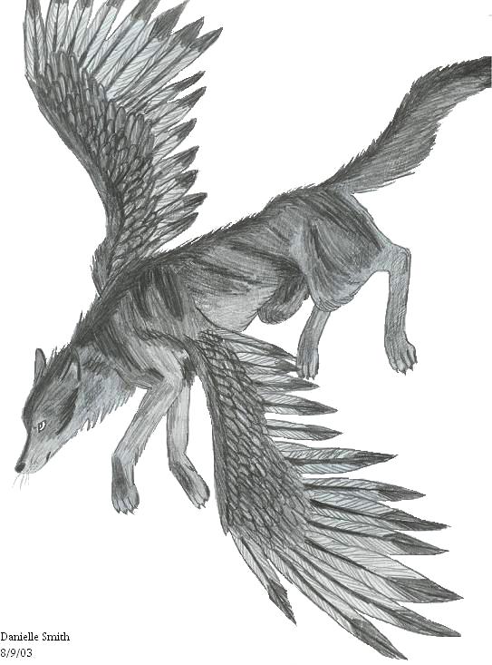 Flying Wolf Drawing Art