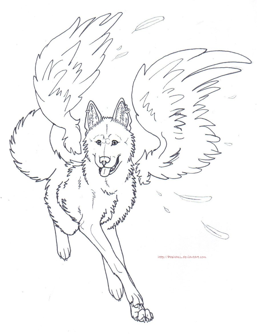 Flying Wolf Drawing Beautiful Image