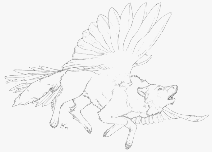 Flying Wolf Drawing Realistic