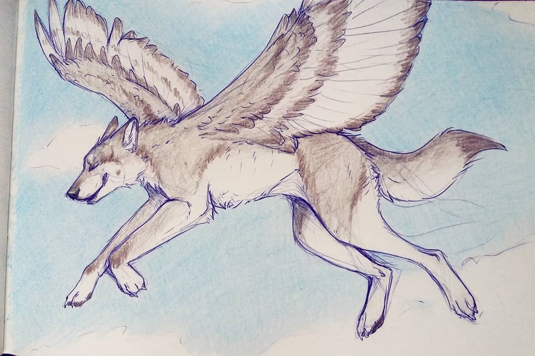 Flying Wolf Drawing