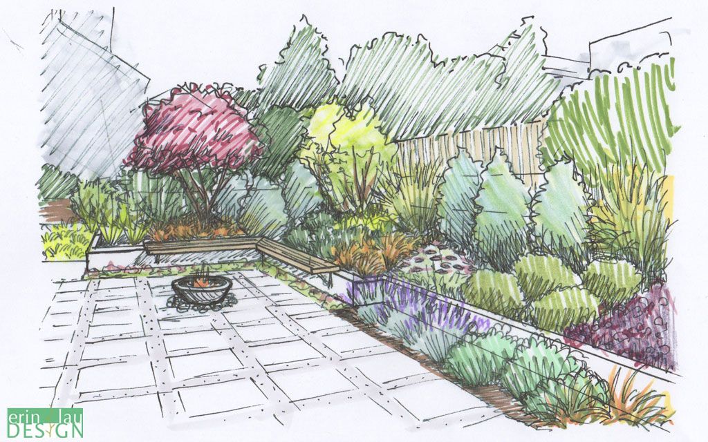 Garden Drawing Realistic