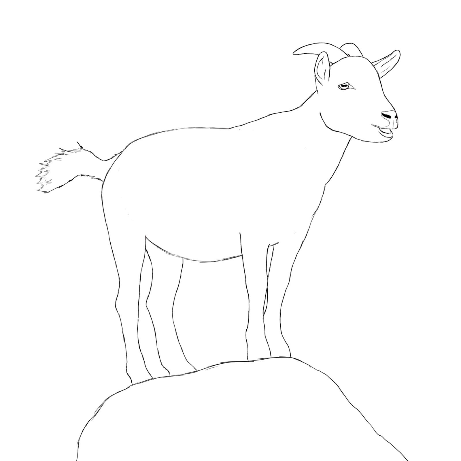 Goat Drawing Pic
