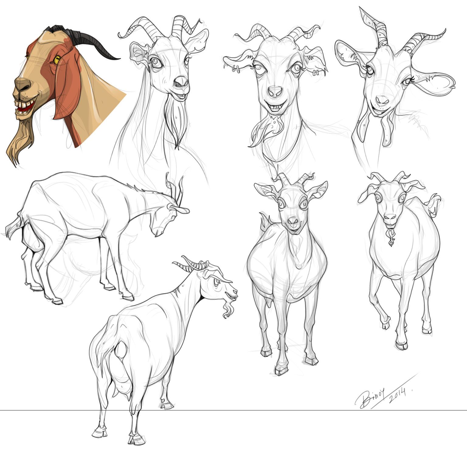 Goat Drawing Picture