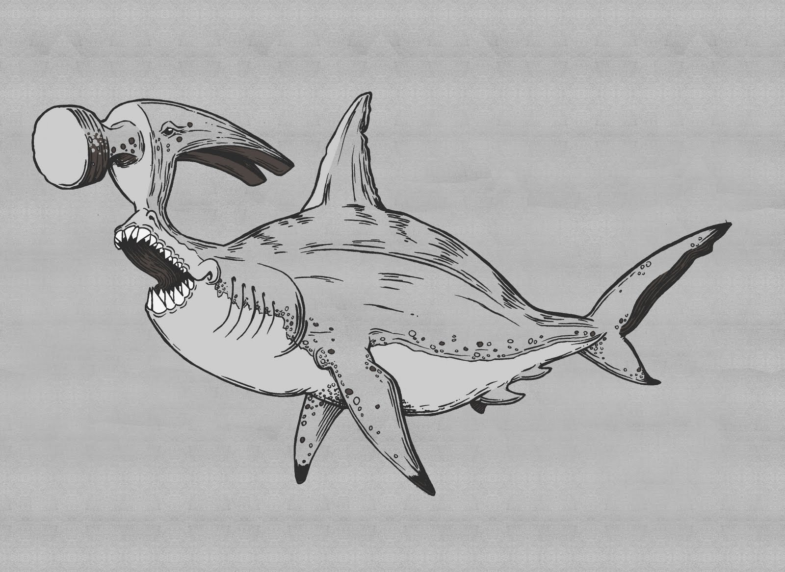 Hammerhead Shark Drawing Art