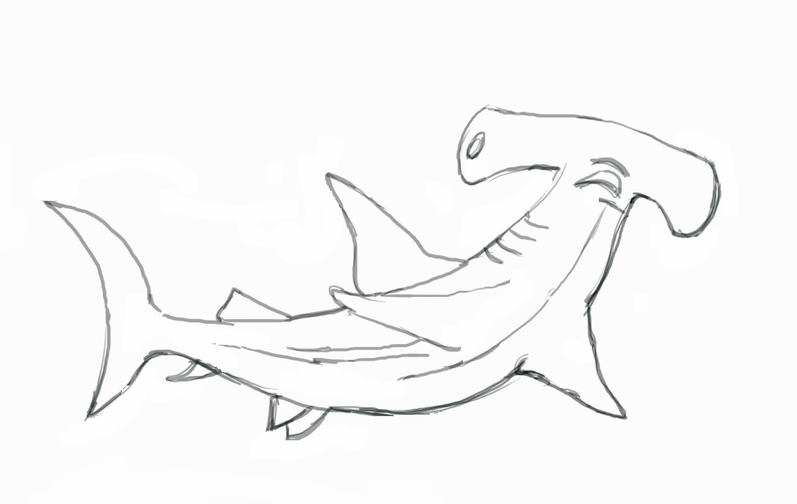 Hammerhead Shark Drawing Photo