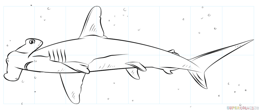 Hammerhead Shark Drawing Pic
