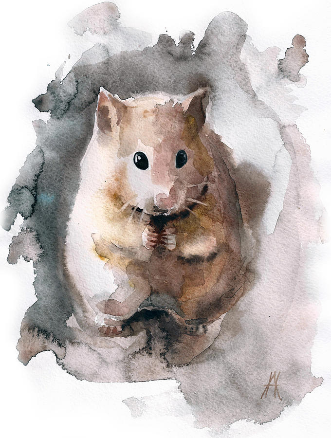 Hamster Art Drawing