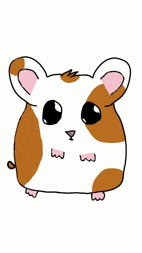 Hamster Drawing Pics