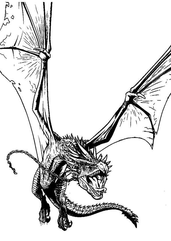 Harry Potter Dragon Drawing High-Quality