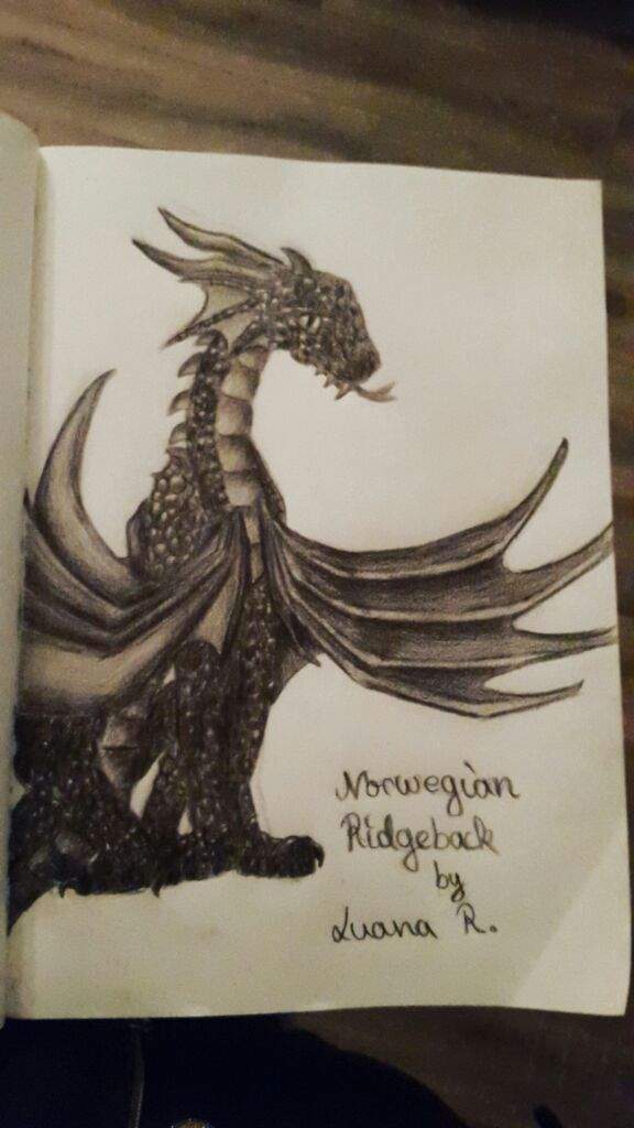 Harry Potter Dragon Drawing Photo