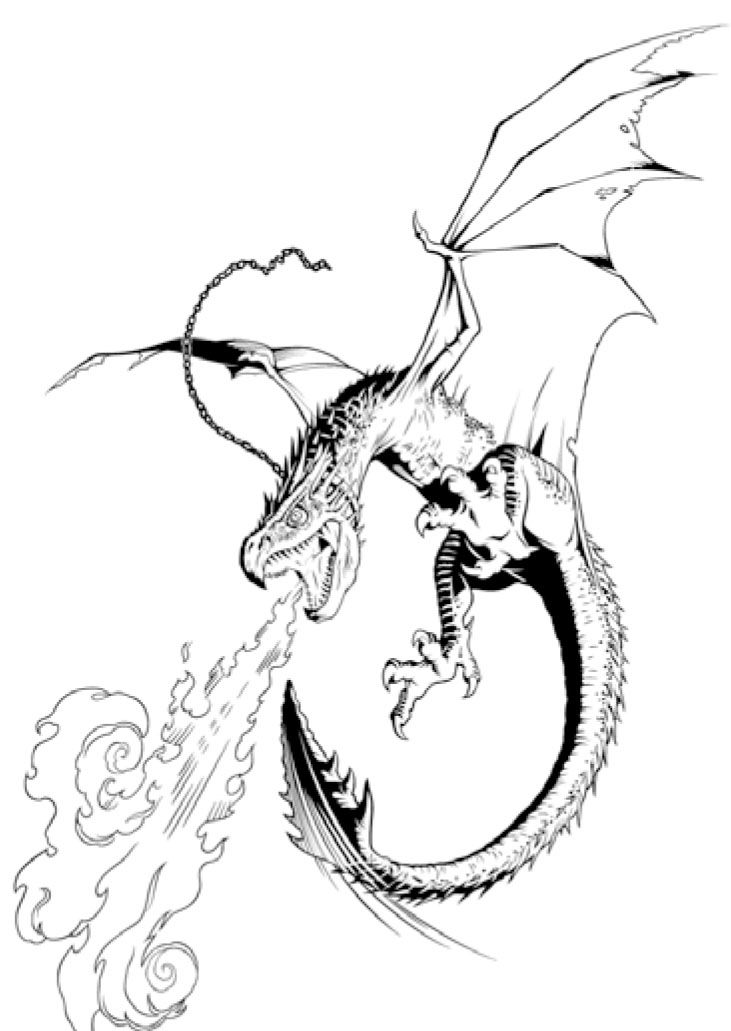 Harry Potter Dragon Drawing Realistic