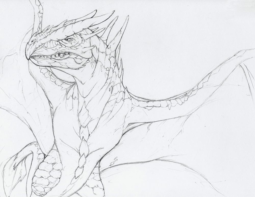 Harry Potter Dragon Drawing