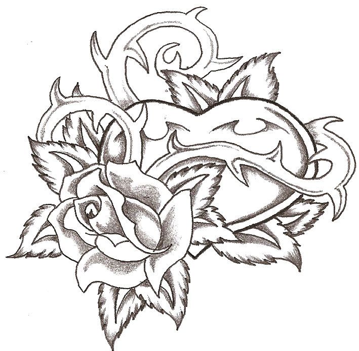 Heart And Rose Drawing Image