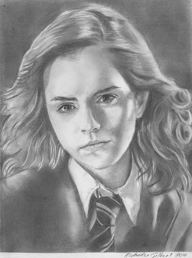Hermione Granger Art Drawing