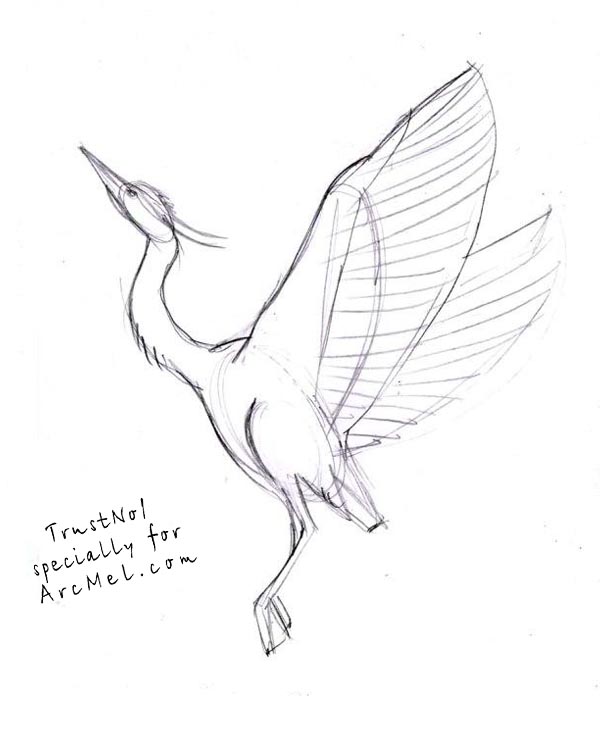 Heron Drawing Pic