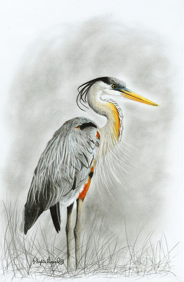 Heron Drawing Picture