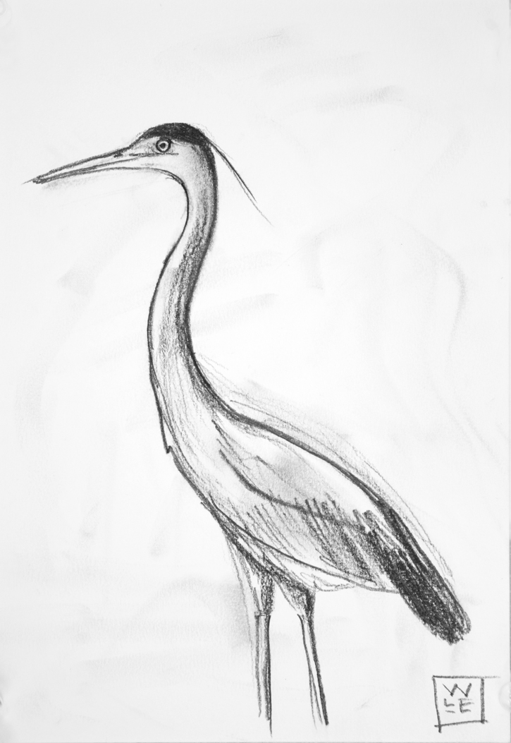 Heron Drawing Realistic