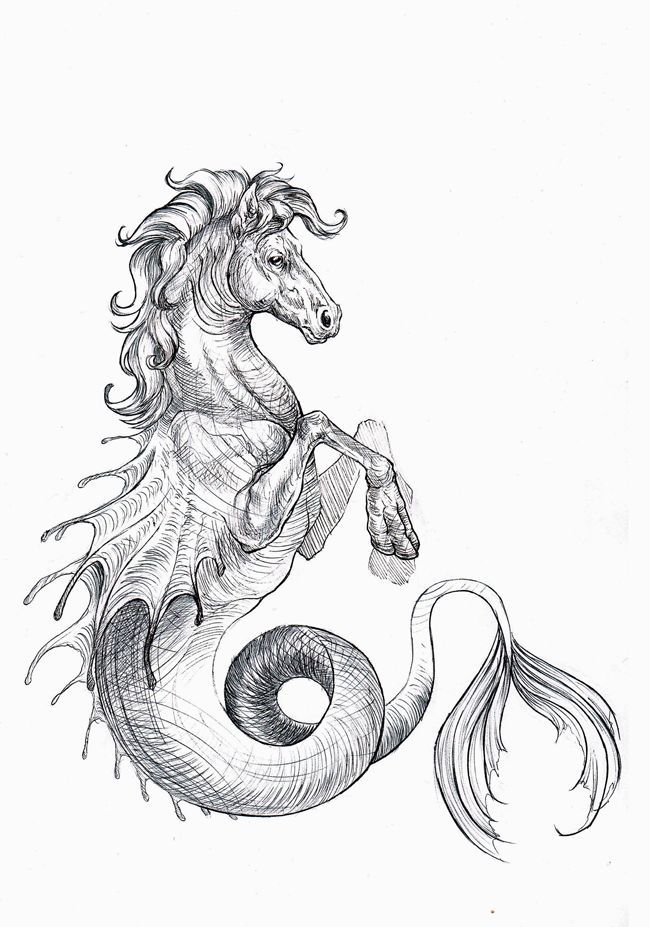 Hippocampus Drawing Image