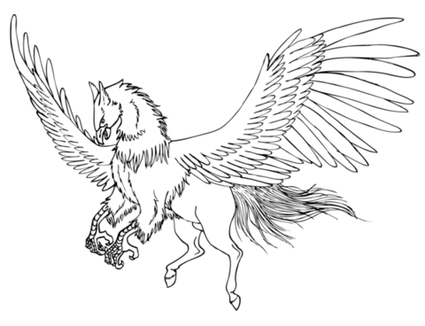 Hippogriff Art Drawing