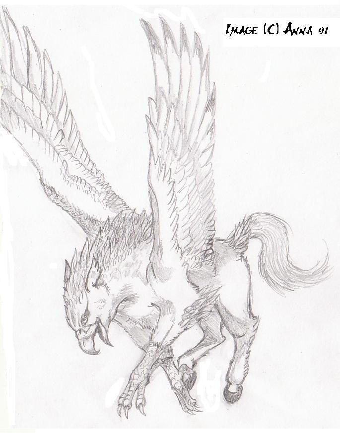 Hippogriff Drawing Amazing