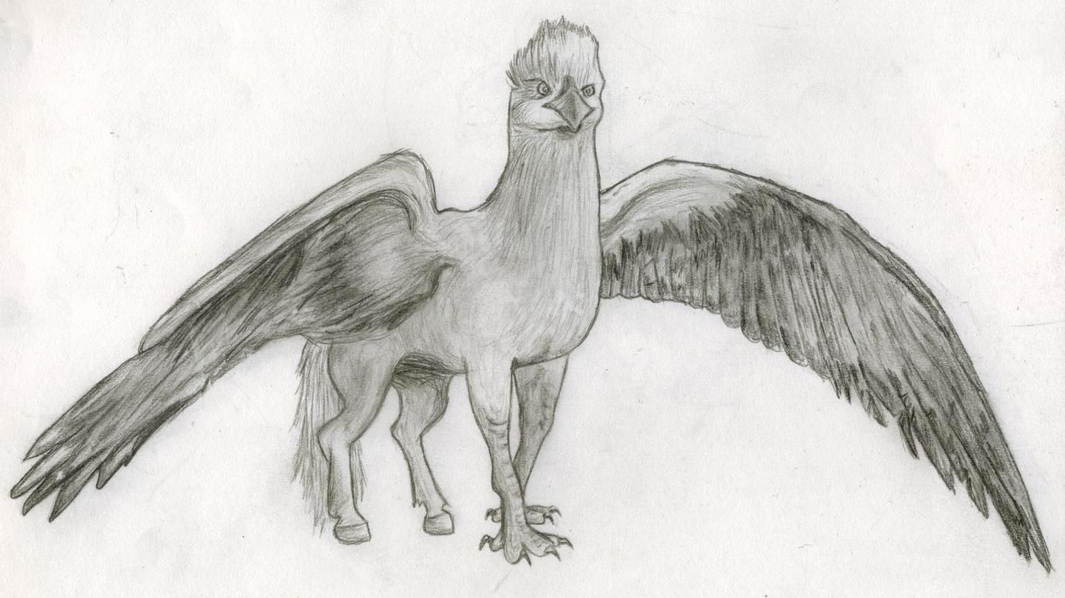 Hippogriff Drawing Art