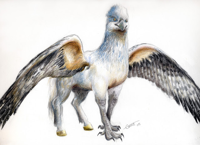Hippogriff Drawing High-Quality