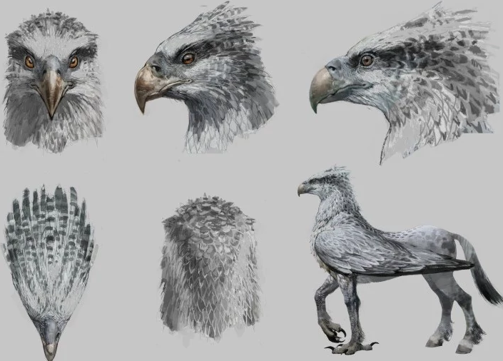 Hippogriff Drawing Realistic