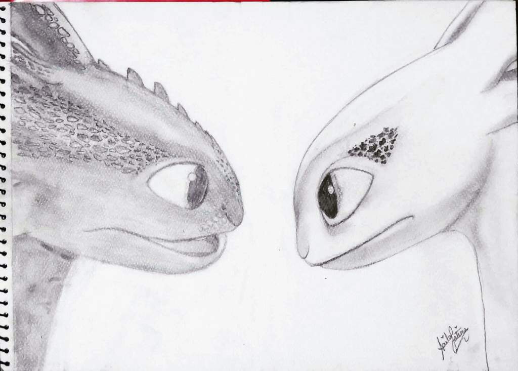 How To Train Your Dragon The Hidden World Drawing