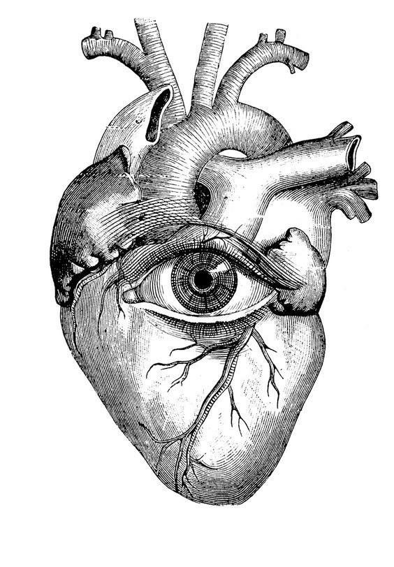 Human Heart Drawing Pics