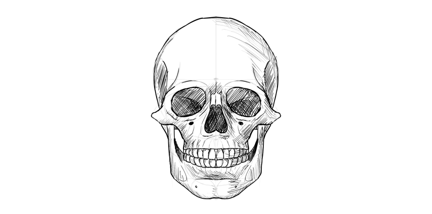 Human Skull Drawing Amazing