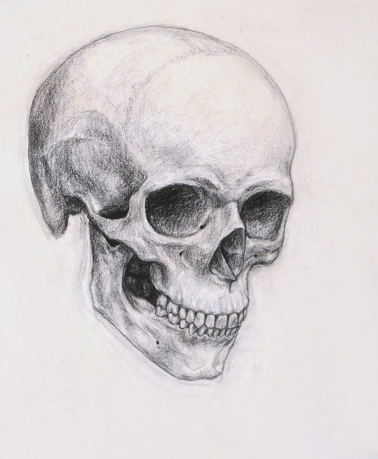 Human Skull Drawing Image
