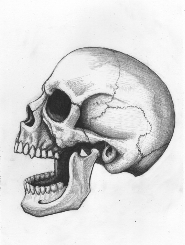 Human Skull Drawing Pics