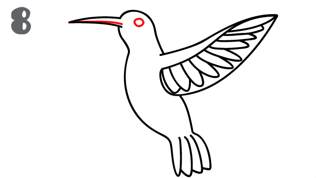 Hummingbird Drawing Beautiful Image